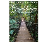 Guadeloupe - Un rêve caribéen (Calendrier de bureau 2026 DIN A5 vertical), CALVENDO calendrier mensuel