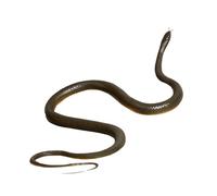 Guangcailun Figurine de Serpent en Caoutchouc, Jouet Effrayant réaliste, Simulation, blagues pour Halloween, expériences interactives Amusantes et Accessoires pour Halloween, Jouet