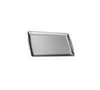 Guangcailun Plateau de service épais pour buffet, repas et dîner, assiette rectangulaire en acier inoxydable avec poignées, idéale pour les barbecues et autres occasions, Argent, 36 x 20 cm