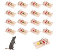 Guanici 16 Pièces Piège à Souris en Bois Piège à Coup Piège à Souris Mortel Pièges à Rats Pièges à Coup Pièges à Rats Piège à Coup Réutilisable pour Salle à Manger Cuisine Bureau Entrepôt Jardin