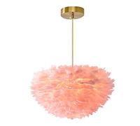 Suspension Plume Rose Lustre Naturel Tissé À La Main Oie Plafonnier Plafonnier Pour Bar, Salle À Manger, Salle D'étude, Salon, 40CM