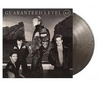 Guaranteed – Vinyle 33 tours audiophile Argent et Noir Marbre 180 g – Music on Vinyl