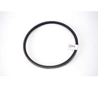 Guasti Srl Courroie D'Entraînement Piaggio Ape Car MP TM 113256