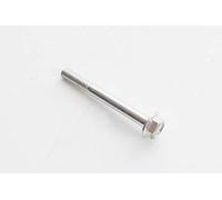 Guasti Srl Original Port Multitech Screw.