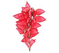 Gucagle Plantes de Reptiles artificielles, Feuilles suspendues en Plastique réalistes, décoration avec Ventouse pour Reptiles, Terrarium, Aquarium, rehausseur d'habitat Vibrant, Plastique (T-1033D5)