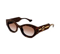 Gucci Femme GG1553S 002 Lunettes de soleil Injecté Havane Marron Ronde