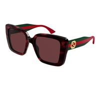 Gucci Femme GG1861S 003 Lunettes de soleil Acétate Havane Rouge Carré