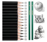 GUDQVOZIHG 14pcs Crayons Dessin Professionnel Set,Crayons à Dessiner En Graphite,Criture Douce Croquis Crayon Dessin,14 ModèLes, AdaptéE Aux Enfants, Adultes Et Artistes DéButants