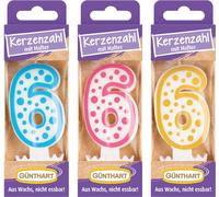 Günthart Bougie de cire no.6 Bougie d'anniversaire 1 pièce couleurs assorties