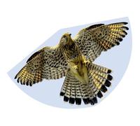 Günther Flugspiele 1 ligne Cerf-volant FAUCON Envergure (détails) 920 mm Force du vent supportée 3 - 6 bft