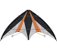 GÜNTHER FLUGSPIELE Paul 1028 - Cerf-Volant de Sport Synergy 125, Voile en Polyester Ripstop, avec Deux bobines de Direction et des Cordes, Dimensions env. 125 x 54 cm, pour Enfants à partir de 10 Ans