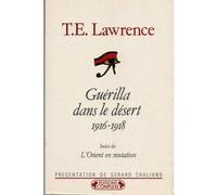 Guérilla dans le désert 1916-1918