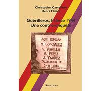Guérilleros, France 1944 - Une contre-enquête
