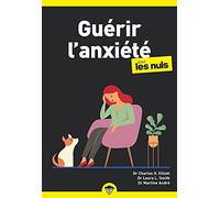 Guérir l'anxiété poche pour les Nuls NE