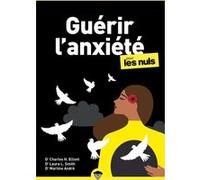 Guérir l'anxiété pour les Nuls, poche, 3e éd Martine André (Auteur), Charles Harold Elliott (Auteur), Laura L. Smith (Auteur), Rich Tennant (Illustration), Jean-Luc Rostan (Traduction)