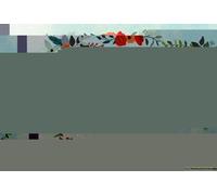 Guest Book