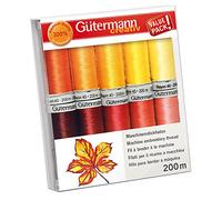 Gütermann creativ Set de fil à broder à la machine avec 10 bobines Rayon 40 200 m dans différents coloris