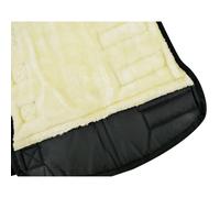 Guêtres De Transport Basses Riding World - Couleur : Noir, Taille : Cheval Noir