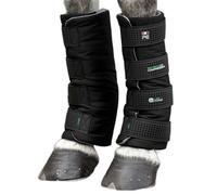 Guêtres de transport pour cheval Premier Equine Bamboo Lite Noir 14"