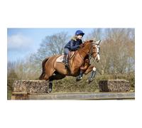 Guêtres pour cheval LeMieux Carbon Air XC Noir L
