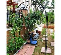 GueTTO Arche De Jardin en Fer Forgé Largeur du Passage 120Cm 140Cm 180Cm 240Cm 300Cm 350Cm Arceau À Rosiers Tonnelle pour Mariage Vigne Support De Plantes,Noir,W120cm x H220cm