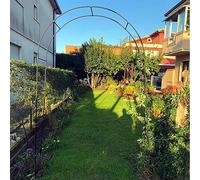 GueTTO Arche De Jardin en Fer Forgé Largeur du Passage 120Cm 140Cm 180Cm 240Cm 300Cm 350Cm Arceau À Rosiers Tonnelle pour Mariage Vigne Support De Plantes,Noir,W120cm x H220cm
