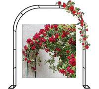 GueTTO Arche de Jardin en métal 120cm 140cm 200cm 240cm 300cm 350cm Large Arche de Mariage Arceau à Rosiers Plante Grimpantes, Arche à Rosiers Exterieur Arche de Jardin,W240*H220cm