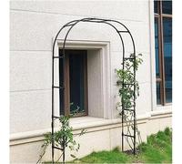 GueTTO Arche de Rosiers pour Jardin Plantes Grimpantes Arceau Rosiers Vigne en Métal Noir Décoration Extérieure de Mariage Anniversaire 120 140 180 200 240 280 300 350cm,W120cm x H220cm