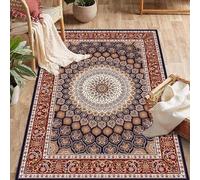 GUGJHFVH Tapis doux pour chambre à coucher, salon, bureau et salle à manger - Décoration d'intérieur - Tapis antidérapant de style ethnique - Imitation cachemire - Rouge/bleu - 200 x 300 cm