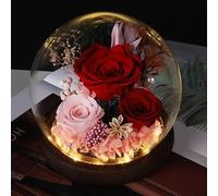 Gugxiom Rose Eternelle sous Cloche, Fleurs Véritables de Longue Durée, avec Lumière LED, Unique pour la Fête des Mères et Noël, Fleurs Préservées Rose Cadeaux (Rouge)