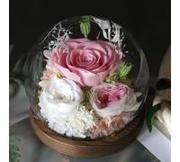 Gugxiom Rose Eternelle sous Cloche, Fleurs Véritables de Longue Durée, avec Lumière LED, Unique pour la Fête des Mères et Noël, Fleurs Préservées Rose Cadeaux (Rose)