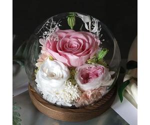 Gugxiom Rose Eternelle sous Cloche, Fleurs Véritables de Longue Durée, avec Lumière LED, Unique pour la Fête des Mères et Noël, Fleurs Préservées Rose Cadeaux (Rose)