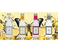 Gui Tonic Tasting Lot de 5 bouteilles de 0,2 l avec consigne
