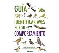 Guia Para Identificar Aves Por Su Comportamiento