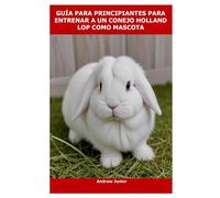 GUÍA PARA PRINCIPIANTES PARA ENTRENAR A UN CONEJO HOLLAND LOP COMO MASCOTA
