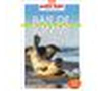 Guide Baie De Somme 2025 Carnet Petit Futé