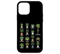 Guide botanique des Plantes d'intérieur purifiantes de l'air en Pots Coque pour iPhone 12 Mini