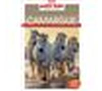 Guide Camargue 2026 Carnet Petit Futé