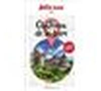 Guide Châteaux De La Loire 2026 Petit Futé