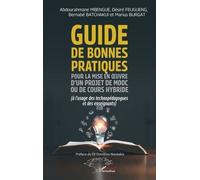 Guide de bonnes pratiques pour la mise en œuvre d’un projet de MOOC ou de cours hybride (à l’usage des technopédagogues et des enseignants) - Dimitrios Noukakis - L'harmattan - broché - Guide