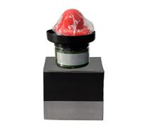 Guide De Peinture pour Carrosserie Automobile | Révélateur De Défauts pour Ponçage Sec | Accessoire Métallique pour Identifier Les Rayures Lors De L’Entretien Auto Et du Bricolage Préparation Finit