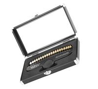 Guide de teinte dentaire Guide de teinte dentaire 20 couleurs avec miroir Toothing Shade Dentiste Tools for Dentist Tracking