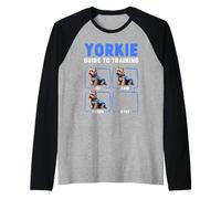 Guide d'entraînement Amusant Yorkshire pour Les Amoureux des Chiens Manche Raglan