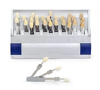 Guide des dents de laboratoire dentaire Denture 3D Master 29 couleurs Shades Toothguide Laboratoire dentaire Équipement oral