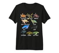 Guide des espèces de Tortues Marines pour Amoureux de l'océan Vie Marine T-Shirt Haut de Gamme