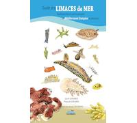 Guide des limaces de mer nudibranches et autres groupes de mediterranee francais
