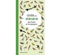Guide des oiseaux des forêts et campagnes - Jérôme Morin - Belin - broché - Guide