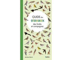Guide des oiseaux des forêts et campagnes - Jérôme Morin - Belin - broché - Guide