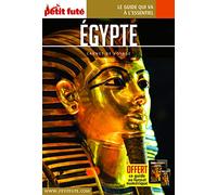 Guide Egypte 2019 Carnet Petit Futé