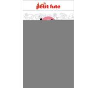 Guide Inde du Sud 2024 Petit Futé